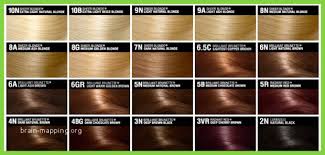 hair color shades chart new mon japanese hair shade names 21