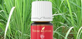 We hope you liked going through our list. 12 Benefits Of Using Lemongrass Essential Oil Rosemary Fusca Blog