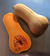 Image result for Cucurbita moschata