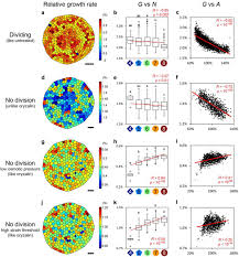 Check spelling or type a new query. Cellular Heterogeneity In Pressure And Growth Emerges From Tissue Topology And Geometry Biorxiv