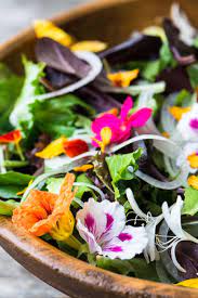 The flower petals smell and taste like cucumber. Spring Salad With Edible Flowers The View From Great Island