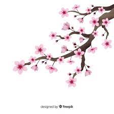 Download Realistic Cherry Blossom Branch Background For Free Cherry Blossom Drawing Cherry Blossom Art Cherry Blossom Branch