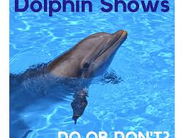 Mulch around the plant to retain moisture and to provide winter protection for the roots. Are Dolphin Shows Cruel Pethelpful