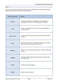 Provides shape to the body. Ks3 Skeletal And Muscular Systems Teachit Science