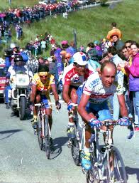 Marco pantani's ventoux bike sold for €66,000. Marco Pantani Photo Gallery By Bikeraceinfo