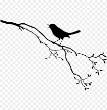 Download Bird On Branch Silhouette Png Image With Transparent Background Toppng