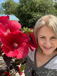 My hardy hibiscus 🌺 in full bloom