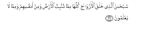 Ayat yang mulia ini merupakan dalil pokok yang paling besar, yang menganjurkan kepada kita agar meniru rasulullah saw. Surah Ya Sin Arabic Text With Urdu And English Translation