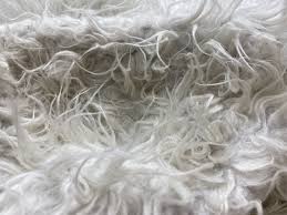 How to install your washable ruggable rug? Update I Tried To Ruin A Ruggable Rug For My Review Here S What Happened Techgadgetscanada Com