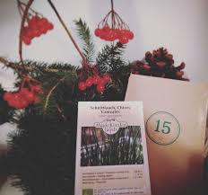 15 Dezember Allium Schoenoprasum Schnittlauch Gonzales Im Bio Saatgut Adventskalender Von Magic Garden Seeds Adventkalender Adventskalender Bio Saatgut