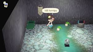 Animal Crossing Turnips Guide: Where To Buy And Sell, Turnip Lady Day &  More - Dexerto