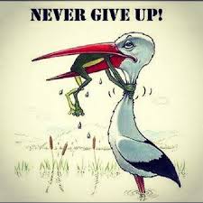 Never Give Up A Teacher S Motto Politichicks Com Never Give Up Meaningful Pictures Funny Quotes