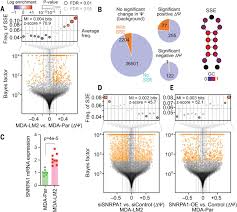 The cancer birthstone is ruby. A Prometastatic Splicing Program Regulated By Snrpa1 Interactions With Structured Rna Elements Science