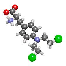 Image result for Melphalan