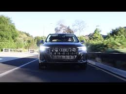 Image result for Tamarind Brown 2025 Q7