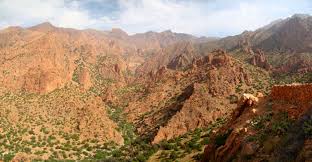 We did not find results for: Anti Atlas Wikipedia