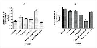 Image result for Psorospermum baumii