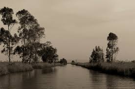 Torre Del Lago Puccini Places To Visit Tuscany Italy Landscape