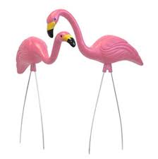 Some popular phraes on the lawn include: Retro Yard Pink Flamingos Rero Theme Party Decoration Packages