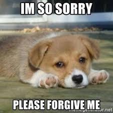 40 Adorable I M Sorry Memes People Won T Be Able To Resist Sayingimages Com Sorry Memes I Miss You Meme Puppy Meme