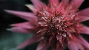 .recording time on memory cards (eos rebel sl1 / eos 100d). Canon Rebel T100 The Cheapest Dslr Ever Petapixel