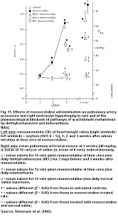 Image result for Oncinotis glabrata