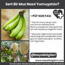 1 haftada duz bir karina sahip olmak icin bu tarifi deneyin goruntuler ile dogal saglik saglikli olmak bilgi