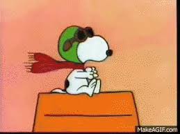 We did not find results for: Funny Gifs Snoopy Gif Vsgif Com