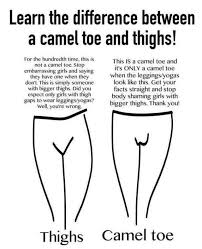 I have heard of designers using hairspray or starch to keep bikinis from wedging into places it should not be wedged. Elizabeth Zaks On Twitter What Do You Consider Camel Toe It Seems Like Everyone Has A Different Definition Bc I Think Wow I Don T Have Camel Toe And Someone S Like Wow Those