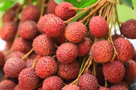 During this time there's no excuse for not trying some tropical thai fruits that are more exotic than a watermelon. 21 Thailand Fruits That You Should Try While Visiting Swedish Nomad