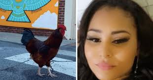 Ocean Springs promises REVENGE after Carl the celebrity rooster 'MURDERED'  by corrections officer