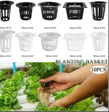 We did not find results for: Top 8 Most Popular Sayur Hidroponik Ideas And Get Free Shipping 2d1cik04