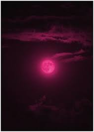 Pin On Pink