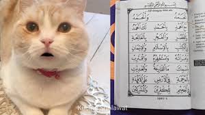 Iqro' jilid 5 halaman 4 dan 5. Tips Mudah Kucing Baca Iqro Jilid 5 Belajar Iqro Cara Praktis Di 2021 Rabab Minangkabau