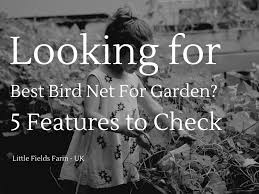 Bird Netting For Garden Uk Looking For Best Bird Net For Garden 5 Features To Check Posts By Little Fields Farm In 2020 Growing Organic Vegetables Grow Organic Organic Vegetables