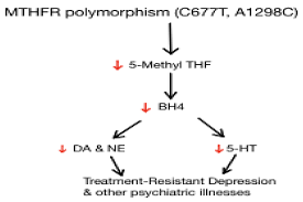 Image result for Refractory Depression Management