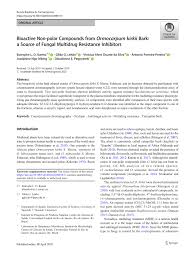 Image result for Ormocarpum kirkii