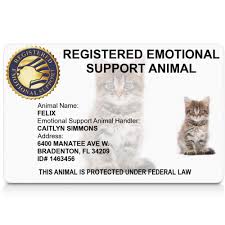 We did not find results for: Registered Emotional Support Animal Id Card Esa Cat Id Card