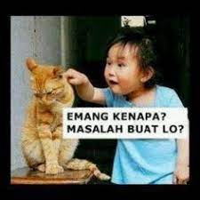 More images for meme lucu buat komen » 16 Funny Pictures Ideas Funny Pictures Funny Funny Memes