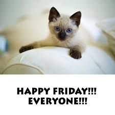 Happy friday eve cat meme. 39 Best Funny Friday Memes Trending Today On Social Media It Memes