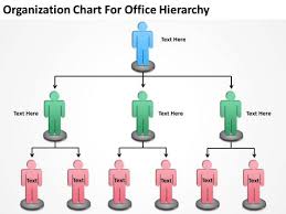 Organization Chart For Office Hierarchy Ppt Sample Business