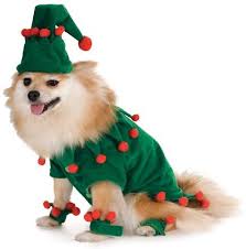 Rubies Costume Company Elf Dog Costume Medium