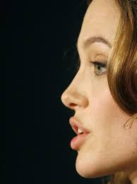 Angelina Jolie Msh Angelina Jolie Nose Angelina Jolie Eyes Angelina Jolie Nose Job