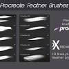 Providing you the best range of feather cleaning brush, carpet cleaning brush and toilet cleaning brush with effective & timely delivery. 1