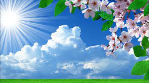 Var fbshare = { url: Primavara In Natura Copaci Infloriti Poze Superbe Din Natura Citeste Descrierea Youtube