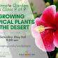 Growing Tropical Plants in the Desert Southwest