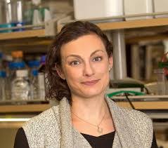 Alexandra Gates's Instagram, Twitter & Facebook