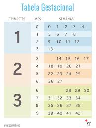 Desarrollo de un embarazo de 30 semanas. 24 Semanas De Embarazo Cuantos Meses Son Babycenter Como Se Debe Preparar La Avena Para El Desayuno