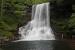 Shenandoah National Forest