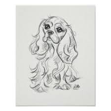 Black And White Spaniel Cartoon Cavalier King Charles Spaniel Print Sketch Art Zazzle Com Art Inspiration Drawing Sketches Cavalier King Charles